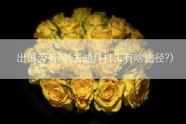 出国劳务网(去迪拜打工有啥途径?)