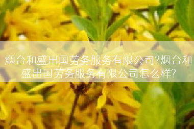 烟台和盛出国劳务服务有限公司?烟台和盛出国劳务服务有限公司怎么样?