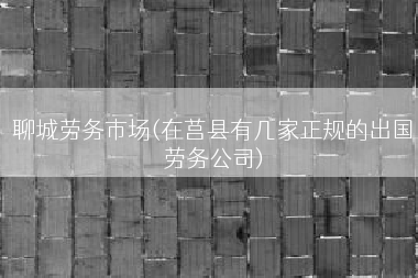 聊城劳务市场(在莒县有几家正规的出国劳务公司)