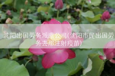 沈阳出国劳务派遣公司(沈阳市民出国劳务去那注射疫苗)