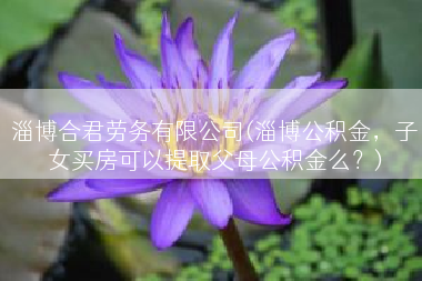 淄博合君劳务有限公司(淄博公积金，子女买房可以提取父母公积金么？)
