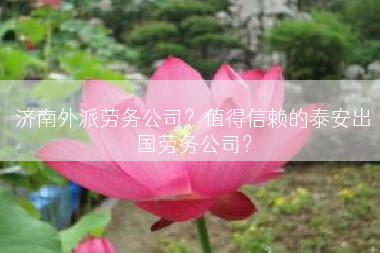 济南外派劳务公司？值得信赖的泰安出国劳务公司？