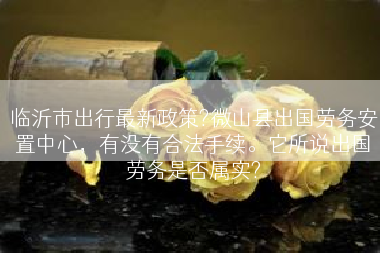临沂市出行最新政策?微山县出国劳务安置中心，有没有合法手续。它所说出国劳务是否属实?