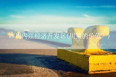 四川内江经济开发区(川菜的价值？)