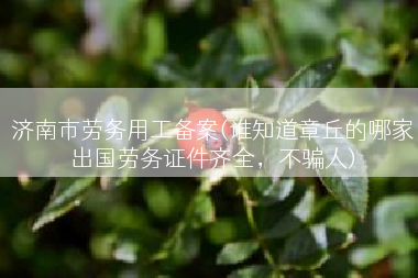 济南市劳务用工备案(谁知道章丘的哪家出国劳务证件齐全，不骗人)