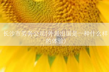 长沙市劳务公司(外派出国是一种什么样的体验)