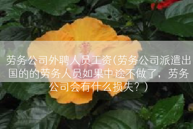 劳务公司外聘人员工资(劳务公司派遣出国的的劳务人员如果中途不做了，劳务公司会有什么损失？)