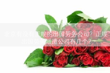 北京有没有正规的出国劳务公司？正规出国劳务派遣公司有几个？