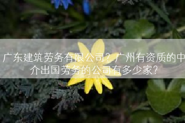 广东建筑劳务有限公司？广州有资质的中介出国劳务的公司有多少家？