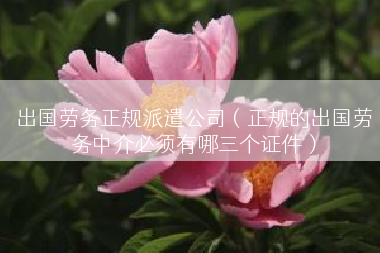 出国劳务正规派遣公司（正规的出国劳务中介必须有哪三个证件）