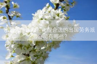 出国劳务正规？正规合法的出国劳务派遣公司有哪些？