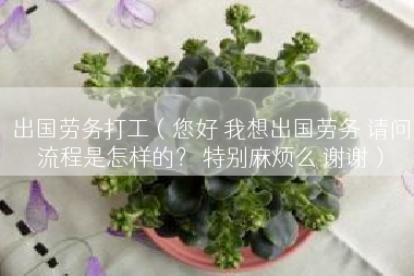 出国劳务打工（您好 我想出国劳务 请问流程是怎样的？ 特别麻烦么 谢谢）