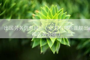 出国劳务信息网站（北京有哪些正规出国劳务公司）