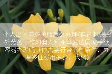 个人出国劳务护照怎么办理(自己想去国外劳务工作如澳大利亚等发达国家手续容易办理吗其他需要符合哪些条件，办理签证费用多少，大概)
