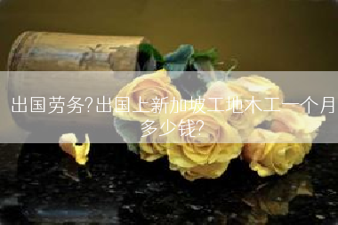 出国劳务?出国上新加坡工地木工一个月多少钱?