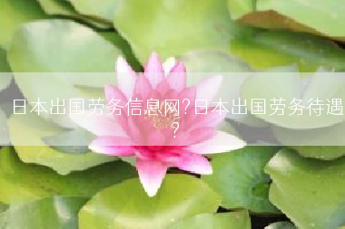 日本出国劳务信息网?日本出国劳务待遇?