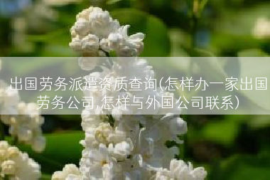 出国劳务派遣资质查询(怎样办一家出国劳务公司,怎样与外国公司联系)