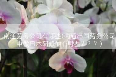 南通劳务公司有哪些(南通出国劳务公司中做日本研修的有哪些？？？)