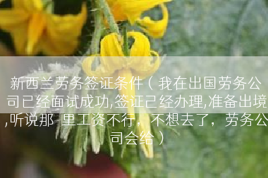 新西兰劳务签证条件（我在出国劳务公司已经面试成功,签证己经办理,准备出境,听说那�里工资不行，不想去了，劳务公司会给）
