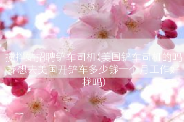 搅拌站招聘铲车司机(美国铲车司机的吗我想去美国开铲车多少钱一个月工作好找吗)
