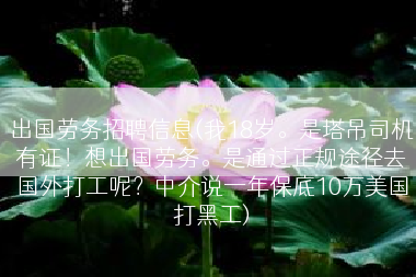 出国劳务招聘信息(我18岁。是塔吊司机有证！想出国劳务。是通过正规途径去国外打工呢？中介说一年保底10万美国打黑工)