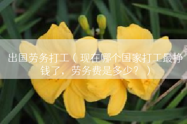 出国劳务打工（现在哪个国家打工最挣钱了，劳务费是多少？）