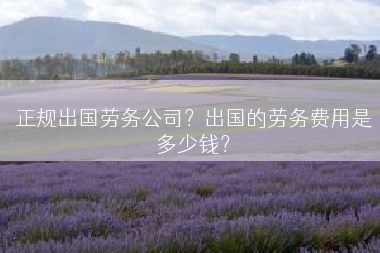 正规出国劳务公司？出国的劳务费用是多少钱？