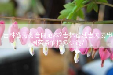 吉林省劳务合同范本?吉林省延吉夫妻出国劳务能挣多少钱?