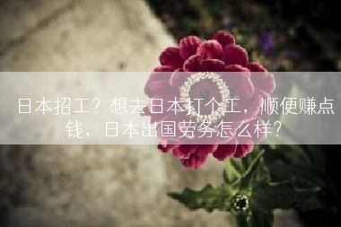 日本招工？想去日本打个工，顺便赚点钱，日本出国劳务怎么样？