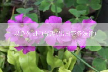 以色列进口代理(出国劳务法律)