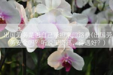 出国劳务是否自己承担来回路费(出国劳务安全吗？听说工资高，待遇好？)