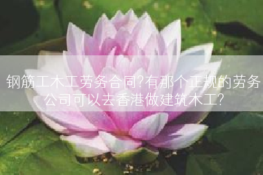 钢筋工木工劳务合同?有那个正规的劳务公司可以去香港做建筑木工?