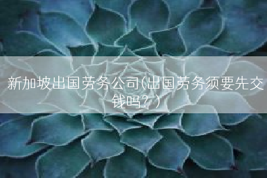 新加坡出国劳务公司(出国劳务须要先交钱吗？)