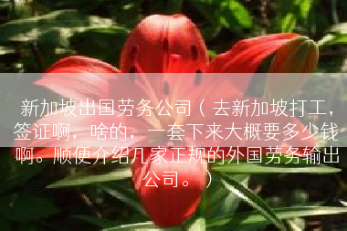 新加坡出国劳务公司（去新加坡打工，签证啊，啥的，一套下来大概要多少钱啊。顺便介绍几家正规的外国劳务输出公司。）