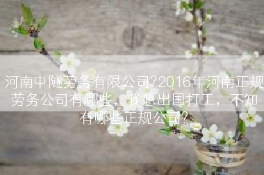 河南中隧劳务有限公司?2016年河南正规劳务公司有哪些，我想出国打工，不知有哪些正规公司?