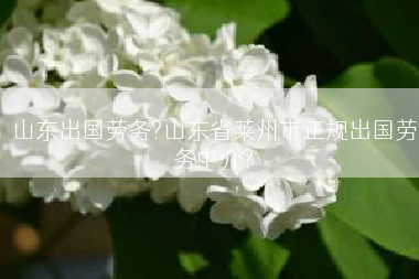 山东出国劳务?山东省莱州市正规出国劳务中介?