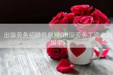 出国劳务招聘信息网(出国劳务工资高的国家)