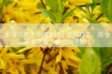 出国劳务中介哪家好（出国打工，那个劳务可靠，在四川范围）