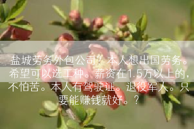 盐城劳务外包公司？本人想出国劳务。希望可以选工种。薪资在1.5万以上的，不怕苦。本人有驾驶证。退役军人。只要能赚钱就好。？