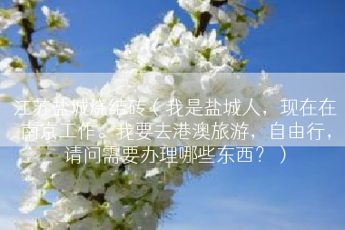 江苏盐城烧结砖（我是盐城人，现在在南京工作。我要去港澳旅游，自由行，请问需要办理哪些东西？）