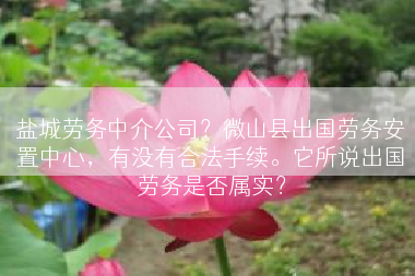 盐城劳务中介公司？微山县出国劳务安置中心，有没有合法手续。它所说出国劳务是否属实？