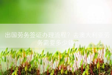 出国劳务签证办理流程？去澳大利亚劳务需要多少钱？