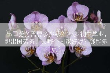 出国劳务需要多少钱？23岁初中毕业，想出国劳务，去哪个国家好呢？钱能多点？