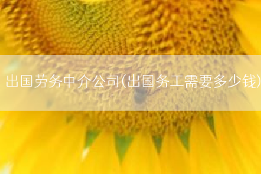 出国劳务中介公司(出国务工需要多少钱)