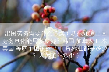 出国劳务需要什么手续（我想知道出国劳务具体能用多少钱？韩国 加拿大 日本 美国 等四个国家的 ？工资标准都是多少 ？大体工作多少）