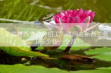 正规新西兰劳务招工？请问去新西兰务工多少钱一个月？