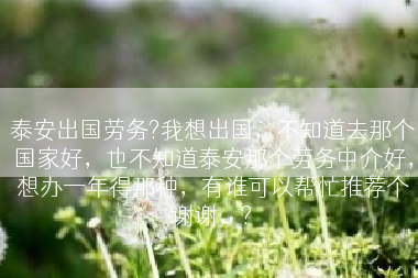 泰安出国劳务?我想出国，不知道去那个国家好，也不知道泰安那个劳务中介好，想办一年得那种，有谁可以帮忙推荐个谢谢，?