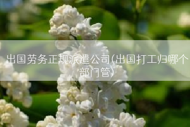出国劳务正规派遣公司(出国打工归哪个部门管)