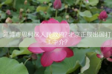 淄博市周村区人民政府?北京正规出国打工中介?