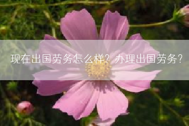 现在出国劳务怎么样？办理出国劳务？